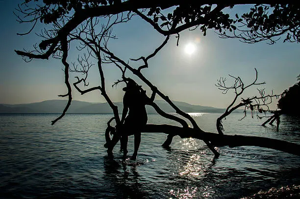 Chidiya Tapu sunset point bird watching Andaman