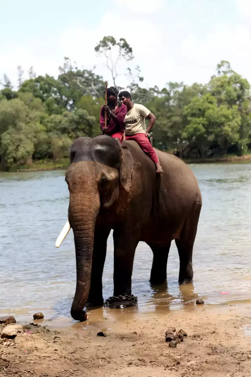 Elephant Beach Havelock Island snorkeling spot