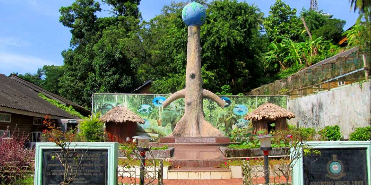 Forest Museum, Port Blair