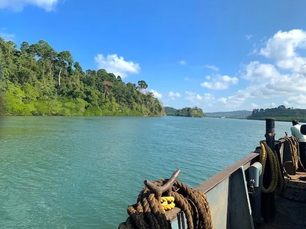 Parrot Island sunset bird nesting spot Andaman