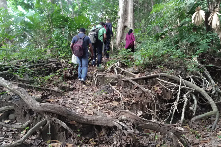 Saddle Peak highest point Andaman Islands